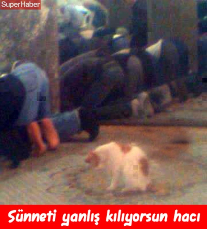 İnsanlarla yaşamaya alışan vahşi hayvanlardan ilginç kareler! - Sayfa 18