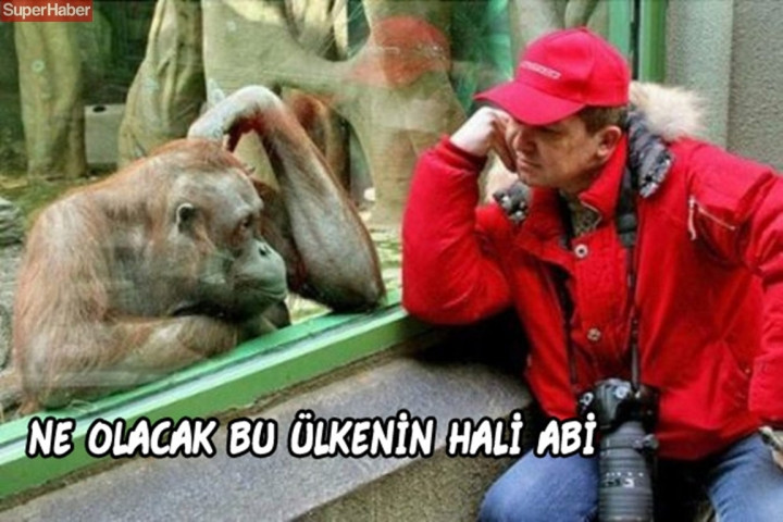 İnsanlarla yaşamaya alışan vahşi hayvanlardan ilginç kareler! - Sayfa 7