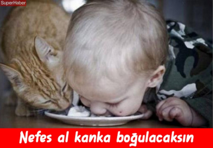 İnsanlarla yaşamaya alışan vahşi hayvanlardan ilginç kareler! - Sayfa 13