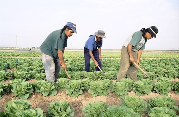 Bu meslekleri yapanlar işsiz kalacak! Kötü haber kapıda - Sayfa 9
