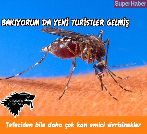 Yazın geldiğini iliklerimize kadar hissetmemizi sağlacak 14 şey... - Sayfa 6