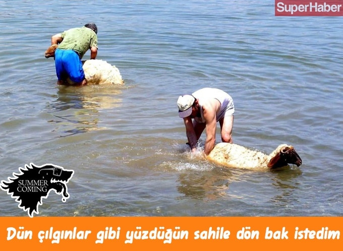 Yazın geldiğini iliklerimize kadar hissetmemizi sağlacak 14 şey... - Sayfa 9