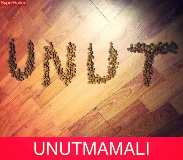 Gergin anlara birebir gelecek espriler... - Sayfa 6