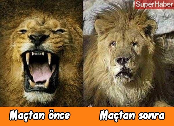 Galatasaray-Fenerbahçe derbisi sonrası caps yağdı! - Sayfa 6