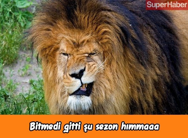 Galatasaray-Fenerbahçe derbisi sonrası caps yağdı! - Sayfa 19