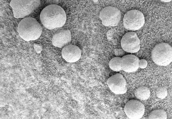 Cassini uzay aracı Satürn halkaları arasından Dünya'yı böyle görüntüledi! - Sayfa 48