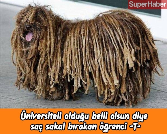 Hafta sonuna güzel girelim... Biraz gülelim! - Sayfa 10