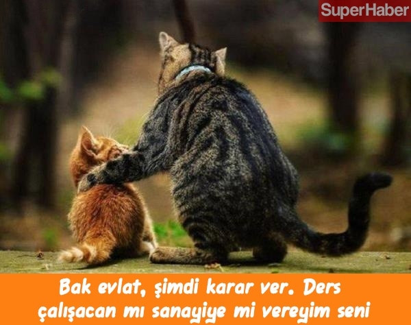 Hafta sonuna güzel girelim... Biraz gülelim! - Sayfa 14