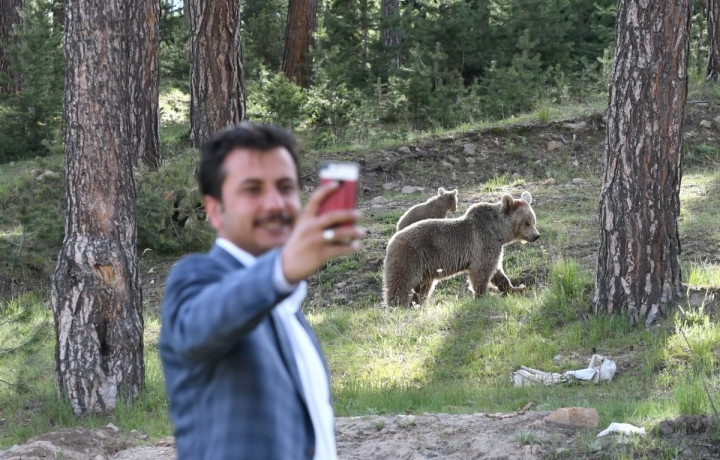 Kars'ta şehre inen ayılarla selfie keyfi! - Sayfa 12