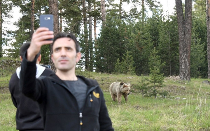 Kars'ta şehre inen ayılarla selfie keyfi! - Sayfa 8