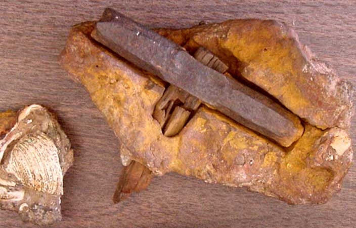 Bilim dünyasına göre böyle bir şey imkansız! Sırrı çözülemiyor... - Sayfa 7