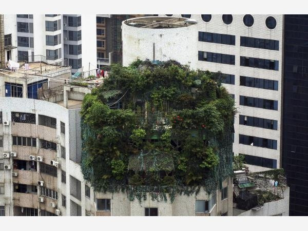 Görenler ev olduğuna inanamıyor! Dünyadaki en tuhaf 25 ev - Sayfa 13