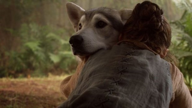 Game of Thrones'un etkisiyle Husky satışları patladı! - Sayfa 7