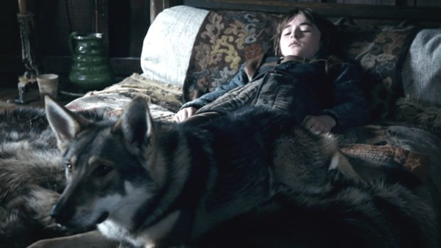 Game of Thrones'un etkisiyle Husky satışları patladı! - Sayfa 8