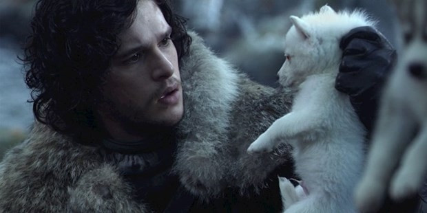 Game of Thrones'un etkisiyle Husky satışları patladı! - Sayfa 12