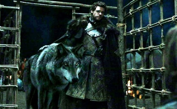 Game of Thrones'un etkisiyle Husky satışları patladı! - Sayfa 10