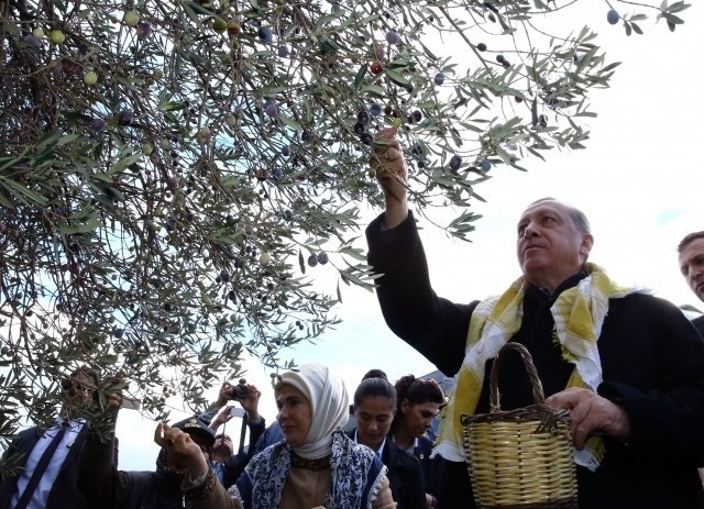 Cumhurbaşkanı Erdoğan'ın objektiflere yansıyan özel anları... - Sayfa 12