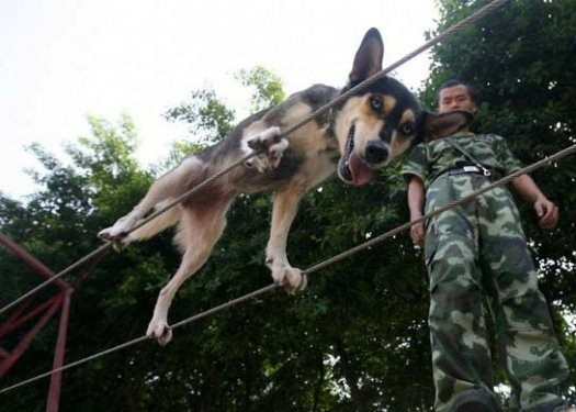 Hayvanlar aleminden birbirinden ilginç ve sevimli kareler! - Sayfa 5