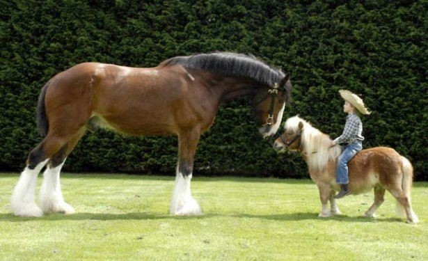 Hayvanlar aleminden birbirinden ilginç ve sevimli kareler! - Sayfa 31