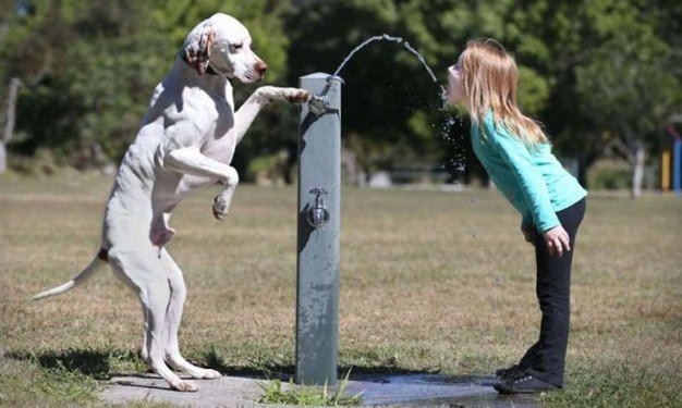 Hayvanlar aleminden birbirinden ilginç ve sevimli kareler! - Sayfa 13