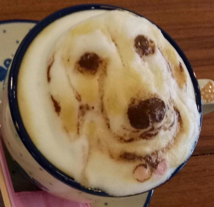 Kahve baristasından gerçekçi kahve köpüğü sanatı! - Sayfa 15