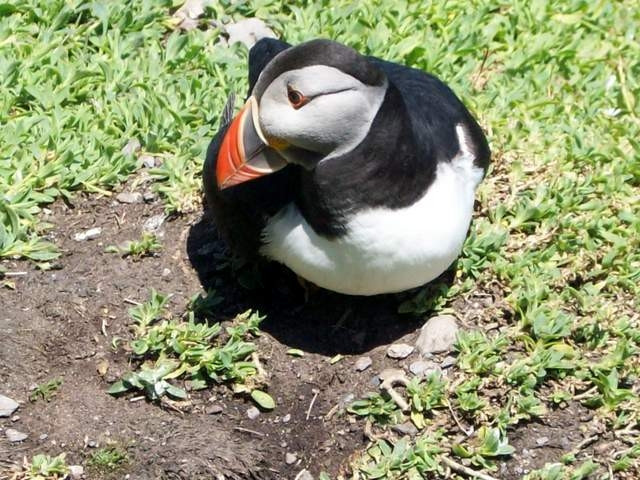 Yüzyıllar öncesinden kalan sıra dışı manastır ziyaretçileri ürkütüyor! - Sayfa 11