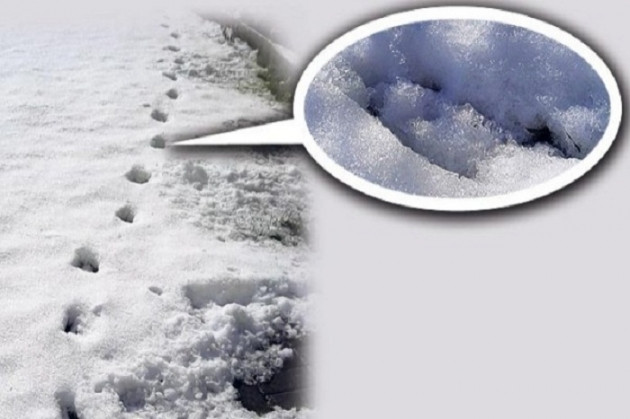 Hala gizemini koruyan yaşanmış olaylar! - Sayfa 5