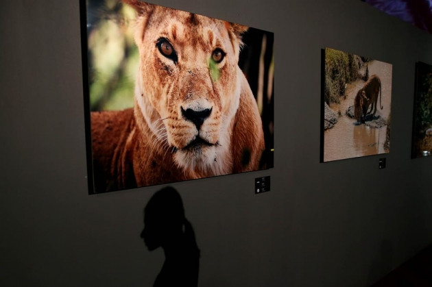 Engin Altan Düzyatan'dan sergi sürprizi! - Sayfa 18