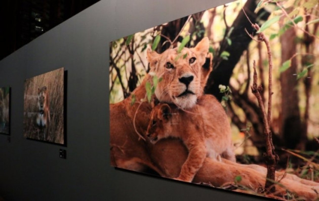 Engin Altan Düzyatan'dan sergi sürprizi! - Sayfa 23