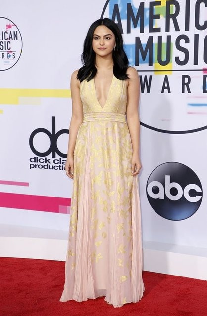 '2017 Amerikan Müzik Ödülleri' muhteşem bir törenle sahiplerini buldu! - Sayfa 6