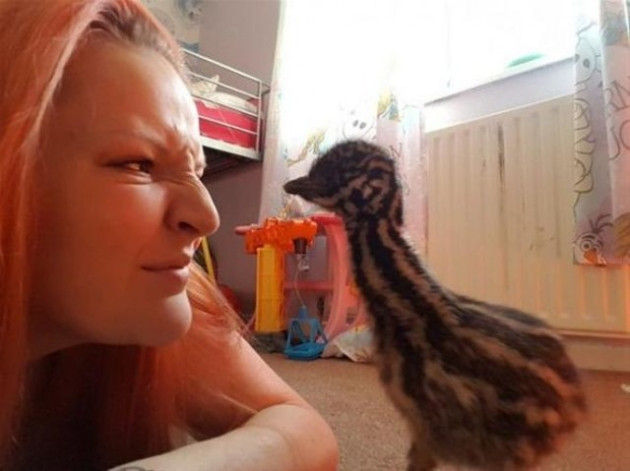 Süs diye aldığı yumurtadan öyle bir şey çıktı ki! - Sayfa 7