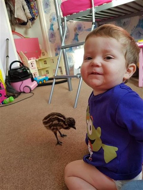 Süs diye aldığı yumurtadan öyle bir şey çıktı ki! - Sayfa 10