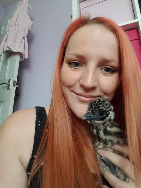 Süs diye aldığı yumurtadan öyle bir şey çıktı ki! - Sayfa 11