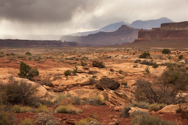 Dünyanın çözülmesini beklediği büyük gizemler! - Sayfa 8