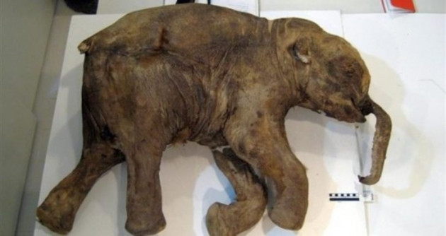 Dünyanın çözülmesini beklediği büyük gizemler! - Sayfa 37