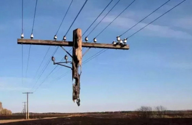 Tam 31 parmakla dünyaya geldi! - Sayfa 5