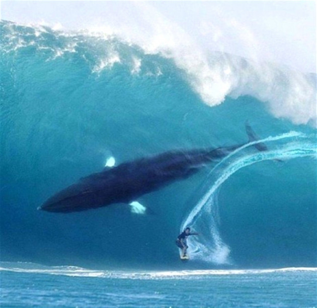 Tam 31 parmakla dünyaya geldi! - Sayfa 15