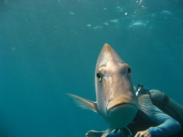 Müthiş zamanlamayla çekilen fotoğraflar! - Sayfa 24