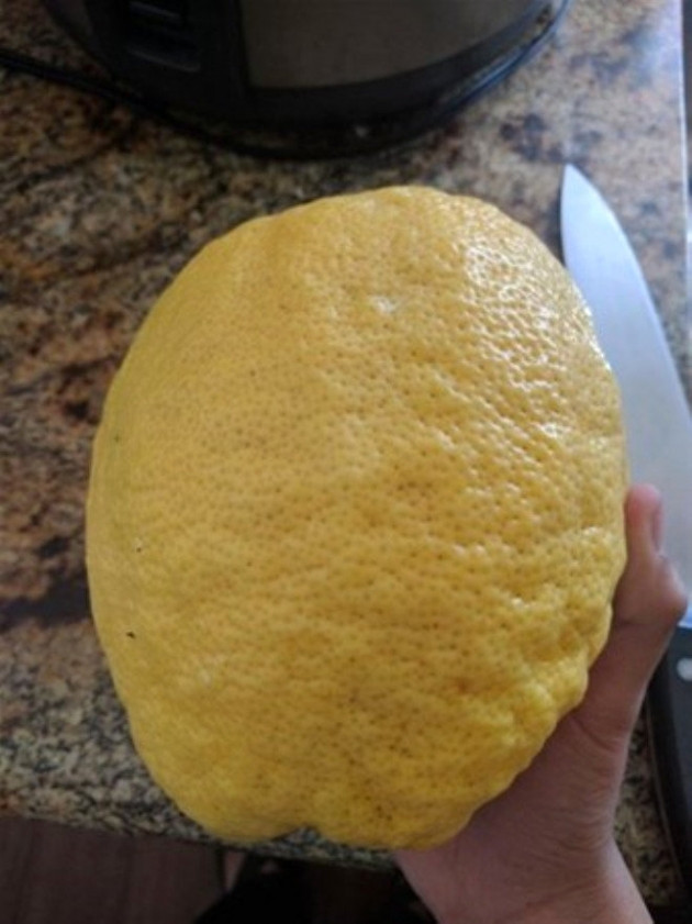 Sosyal medyayı şaşkına çeviren tuhaf yiyecekler! - Sayfa 23