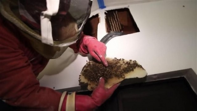 Duvarı delince acı gerçekle karşılaştı! - Sayfa 14