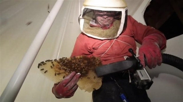 Duvarı delince acı gerçekle karşılaştı! - Sayfa 13