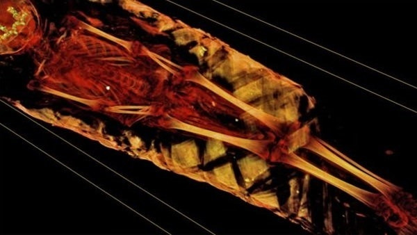 1900 yıllık mumyanın büyük sırrı! - Sayfa 12