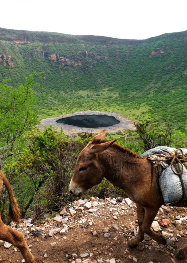 Para kazanmak için ölümü göze alıyorlar! - Sayfa 12