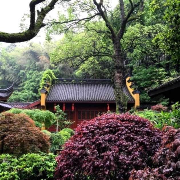 Ekranlardan ağlayarak gitmişti, bakın şimdi ne yapıyor! - Sayfa 21