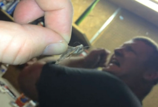 Kulağından çıkanlara kimse inanamadı! - Sayfa 16