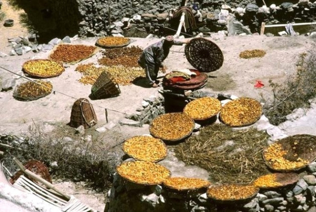 120 yaşına kadar yaşayan Hunza Türkleri'nin sırrı! - Sayfa 11