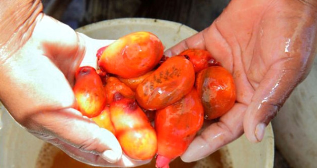 Dünyanın en garip hayvanları! - Sayfa 5