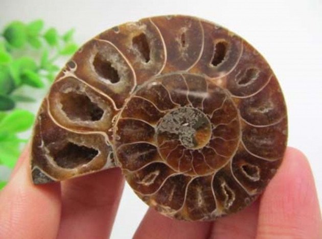 Küçük kız oyuncak sandı, bakın ne çıktı! - Sayfa 17