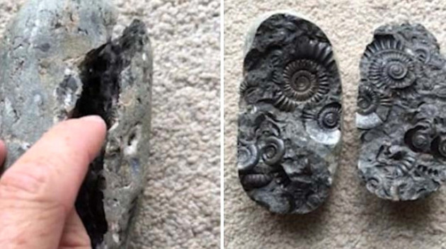 Küçük kız oyuncak sandı, bakın ne çıktı! - Sayfa 5