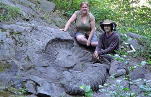 Küçük kız oyuncak sandı, bakın ne çıktı! - Sayfa 9